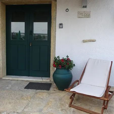 Casa Dos Relvas Tatil Evi